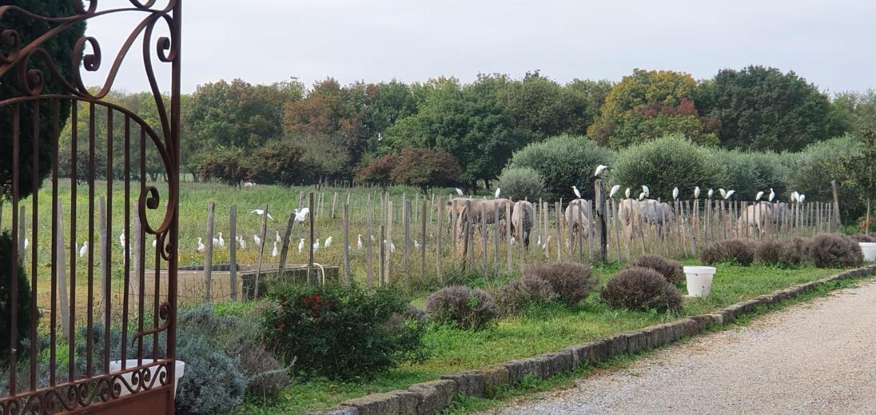 Les Bonbonnettes Bed & Breakfast Le Cailar Exterior foto